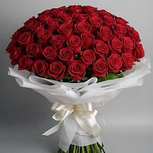 Букет 101 Красная роза Блэк Мэджик в Новой Адыгее