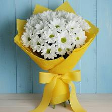 Букет цветов из:  Хризантемы в Новой Адыгее