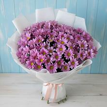 Букет цветов из:  Хризантемы в Новой Адыгее