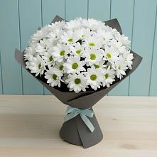 Букет цветов из:  Хризантемы в Новой Адыгее