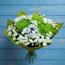 Букет цветов из:  Хризантемы #REPLACE_PRED# Новой Адыгее