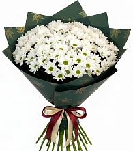 Букет цветов из:  Хризантемы в Новой Адыгее