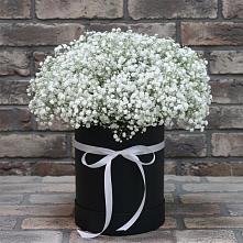 Цветочная композиция из Гипсофила в шляпной коробке #REPLACE_PRED# Новой Адыгее