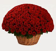 Премиум букет из: Розы в Новой Адыгее